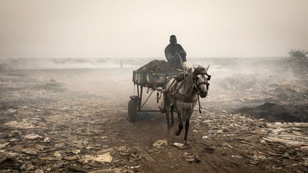 Les émanations des feux utilisés pour fumer le poisson&nbsp;et les usines polluent quotidiennement l'air de&nbsp;Bargny au Sénégal.&nbsp; (JOHN WESSELS / AFP)