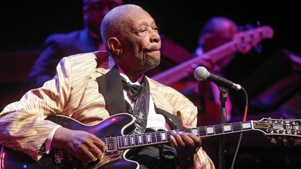 BB King en avril 2014 lors d'un concert à St Louis, aux Etats-Unis.
 (Sarah Conard/AP/SIPA)