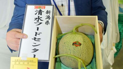 Les deux melons ont &eacute;t&eacute; adjug&eacute;s 11 100 euros sur le march&eacute; de Sapporo (Japon), le 22 mai 2015. (NEWSCOM/SIPA / SIPA USA)