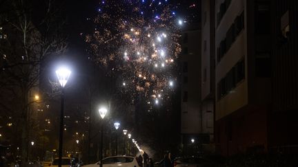 Fireworks during the night of New Year's Eve, in Nantes, January 1, 2023. (ESTELLE RUIZ / HANS LUCAS / AFP)