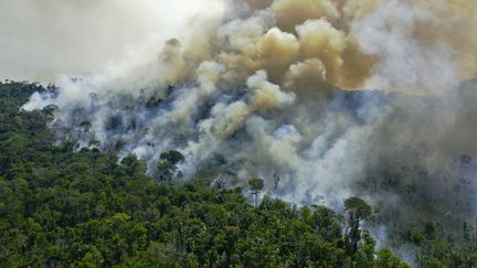 Une vue aérienne de la forêt amazonienne en feu, au sud de Novo Progresso, dans l'Etat de Para au Brésil, le 16 août 2020. (CARL DE SOUZA / AFP)