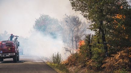 Les pompiers interviennent sur l'incendie près de Landiras, en Gironde, le 12 août 2022.&nbsp; (BENJAMIN GUILLOT-MOUEIX / HANS LUCAS / AFP)