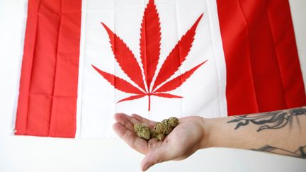 Une feuille de cannabis floquée sur un drapeau canadien, à Ottawa, le 20 juin 2018. (CHRIS WATTIE / REUTERS)