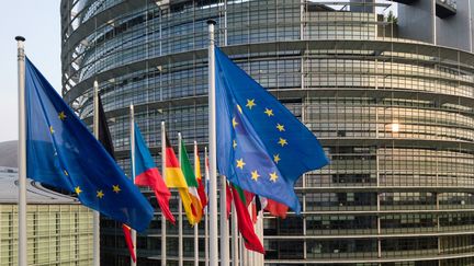 Vue aérienne du Parlement européen à Strasbourg, le 14 avril 2019 (PATRICK HERTZOG / AFP)