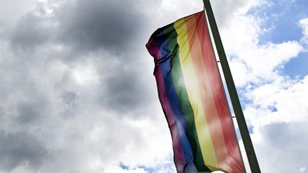 Un drapeau LGBTQ. (FEDERICO GAMBARINI / DPA)