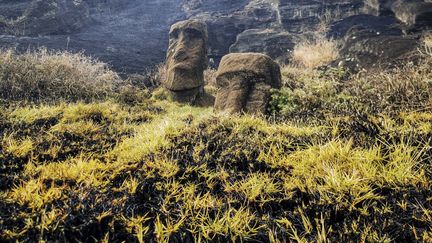 Cette photo publiée par la municipalité de Rapanui montre des Moais - des statues de pierre de la culture Rapa Nui - touchées par un incendie dans le parc national de Rapa Nui sur l'île de Pâques, au Chili, le 6 octobre 2022 (- / RAPANUI MUNICIPALITY)