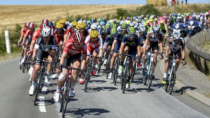 Le Tour de France à l'heure du contre-la-montre par équipes