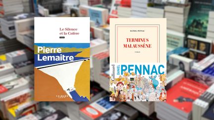 Couvertures de "Terminus Malaussène" (Gallimard) de Daniel Pennac et "Le silence et la colère" (Calmann Levy), de Pierre Lemaitre, janvier 2022 (RICCARDO MILANI / HANS LUCAS)