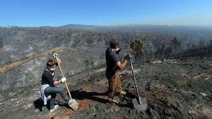 Des volontaires aident les pompiers &agrave; d&eacute;blayer des terrains ravag&eacute;s par l'incendie, le 14 avril 2014, &agrave; Valparaiso (Chili).&nbsp; (MARTIN BERNETTI / AFP)