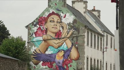 Culture : le street art s'invite dans les campagnes françaises (France 3)