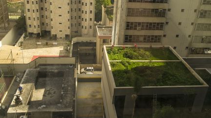 Un toit végétalisé. Photo d'illustration. (BRAZIL PHOTOS / LIGHTROCKET via GETTYIMAGES)