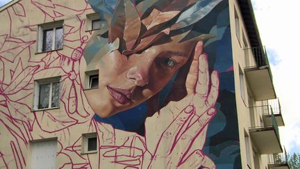 La fresque du street artiste Ratur sur les murs d'un HLM de Cransac (France 3 Occitanie)