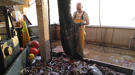 &nbsp;Driss, l'un des marins du Danièle Marie, examine le chalut plein de poissons, au large du Grau-du-Roi (Gard). (MATHILDE BOUQUEREL / FRANCE INFO)