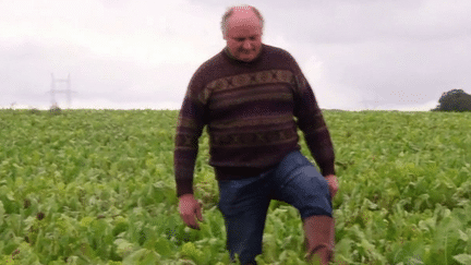 La colère monte chez les agriculteurs. Confrontés à une mauvaise météo qui plombe les récoltes, mais aussi à la fièvre catarrhale qui tue leurs bêtes, ils attendent de pied ferme que le nouveau gouvernement de Michel Barnier leur apporte des solutions.