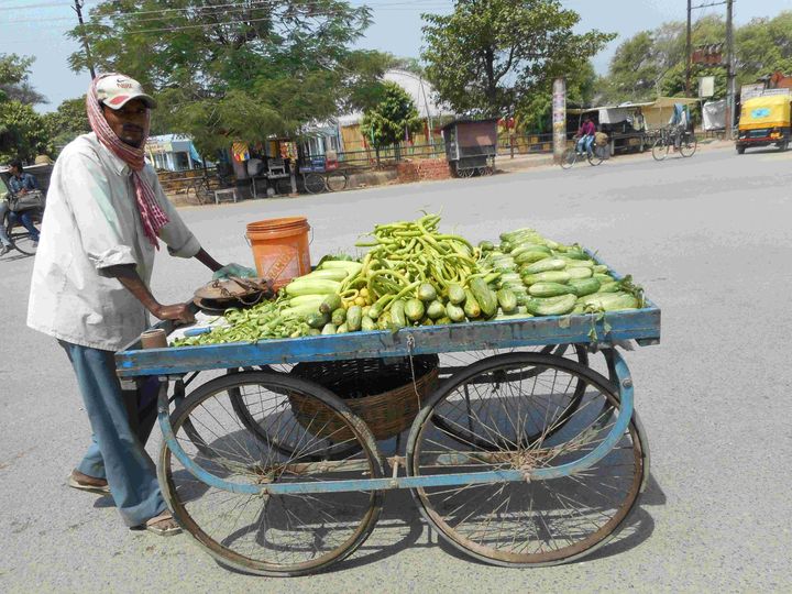 &nbsp; (Marchand de légumes, Varanasi © Laurence Goudounesque)