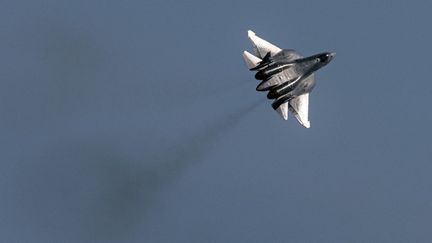 Un avion de chasse russe, le 20 juillet 2021 à Zhukovsky (Russie). (DIMITAR DILKOFF / AFP)