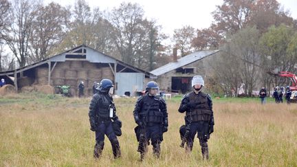 Pr&egrave;s de 500 gendarmes ont proc&eacute;d&eacute; &agrave; l'&eacute;vacuation des squatteurs du bocage de Notre-Dame-des-Landes (Loire-Atlantique), le 23 novembre 2012 au petit matin. (FRANK PERRY / AFP)