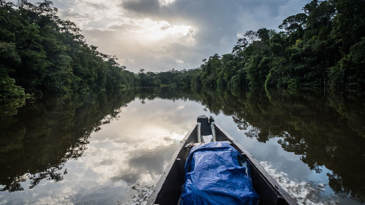 6 expériences pour découvrir la Guyane de façon responsable