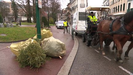 Des chevaux ramassent les sapins de Noël dans le centre d'Aix-les-Bains (France 3)