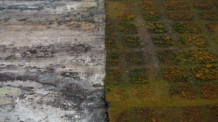 l’air est pollué par le trafic routier incessant et les gaz à effet de serre trois fois plus présents que pour une production de pétrole classique. Une situation qui a obligé le pays à quitter le protocole de Kyoto. Une honte nationale pour beaucoup de Canadiens. Sans oublier les accidents comme celui de 2013, lorsque des fuites de pétrole équivalentes à 7.400 barils s’étaient répandues dans la forêt boréale.
 
 

  (Todd Korol )