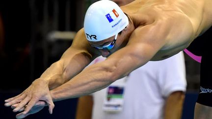 Florent Manaudou au plongeon (JOHN MACDOUGALL / AFP)