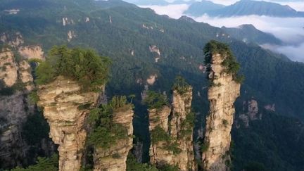 Chine : les montagnes de Zhangjiajie, un véritable trésor de la nature (France 2)