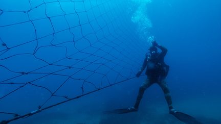 Pour faire revenir les touristes et les baigneurs, des filets anti-requins ont été installés sur plus de 300 km de côtes s’étendant au nord et au sud de Durban. 37 plages en sont aujourd’hui équipées. Ressemblant à de banals filets de pêche de 200 mètres de long sur 6 mètres ancrés, ces dispositifs de protection sont pourtant très controversés car ils tuent indifféremment requins, dauphins, tortues, baleines ou dugongs.&nbsp; &nbsp; (MICHELE SPATARI / AFP)