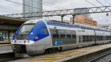 Un TER en gare de Lyon Perrache (Rhône), le 22 février 2024. Image d'illustration. (HENRIQUE CAMPOS / HANS LUCAS)