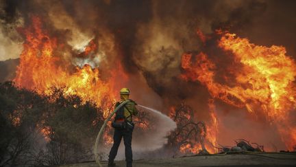 Un pompier du comté de San Miguel combat un feu de brouissailles qui borde une route de la vallée de Jamul, en Californie, le 6 septembre 2020.&nbsp; (SANDY HUFFAKER / AFP)