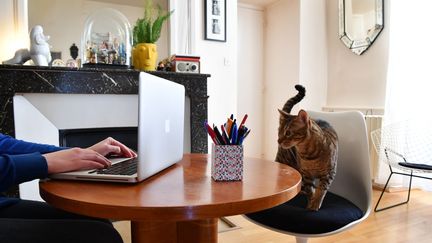 Une personne en télétravail à son domicile. Photo d'illustration. (MAXPPP)