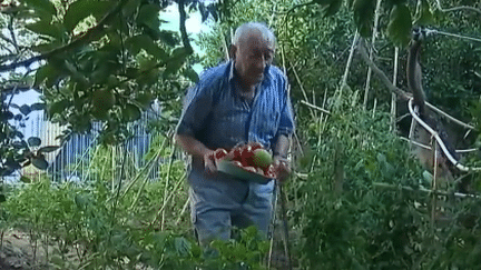 Centenaires : la recette italienne