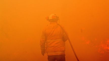 Un pompier australien lutte pour éteindre les feux de forêt qui ravagent l'est de l'Australie depuis le mois de septembre 2019. (SAEED KHAN / AFP)