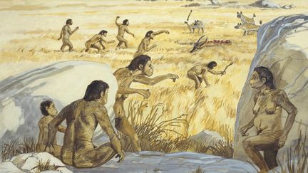 Un dessin qui représente des&nbsp;Homo Habilis, une espèce d'être humain&nbsp;qui a vécu il y a entre 2,8 millions et 1,5 million d'années. (MARY EVANS / SIPA)