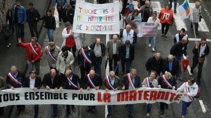 Rassemblement contre la fermeture de la maternité de Decazeville, le 3 juillet 2017. (MAXPPP)