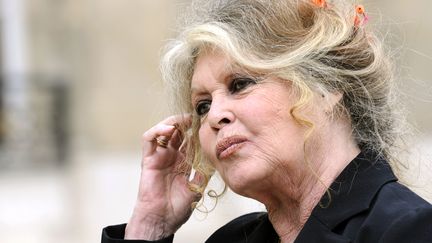 Brigitte Bardot, le 27 septembre 2007 dans la cour du palais de l'Elysée à Paris. (ERIC FEFERBERG / AFP)