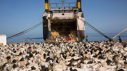 est né en Nouvelle-Zélande. Il a réalisé de nombreux reportages en Afrique pour le magazine «National Geographic» et a reçu l’un des plus prestigieux prix photographiques, l’Eugene Smith Award. L’Afrique est un véritable laboratoire de nouvelles méthodes de production alimentaire, mais le réchauffement climatique sera pour ce continent un défi primordial à relever (Voir son reportage).
 
 
 
 
 (Robin Hammond/La Gacilly)