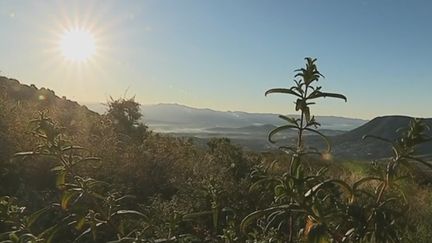 Le panorama du mont Gozzi. (France 2)