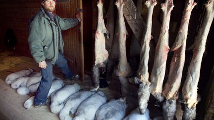 Des peaux de bêtes dans une ferme à fourrure à Oppland (Norvège). (HEIKO JUNGE / SCANPIX NORWAY)