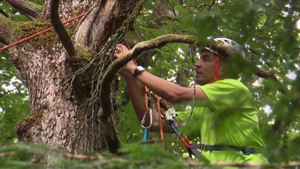 Bourgogne : le&nbsp;géocaching, une chasse aux trésors pour tous les âges (FRANCE 2)