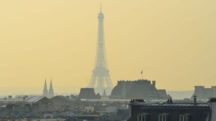 Airparif a détecté une quarantaine de produits phytosanitaires dans l'air de l'Ile-de-France, en ville comme en zone rurale. (HUGHES HERV / HEMIS.FR / AFP)