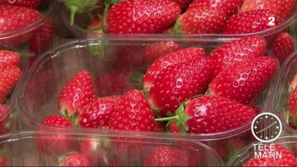 Les Français consomment 3 kg de fraises en moyenne par an. (FRANCE 2)