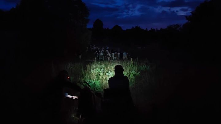 Volunteers spend the night with the herd to protect it. (ALAIN GASTAL/ FRANCE INFO / RADIOFRANCE)