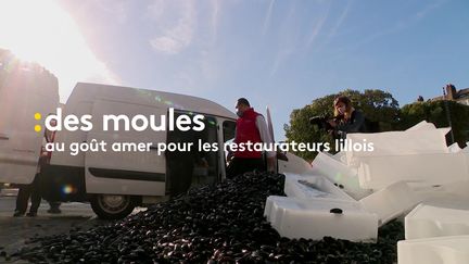 Lille : deux tonnes de moules déversées devant la préfecture