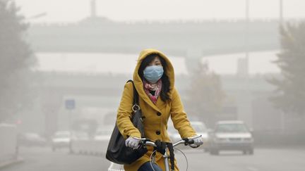 Une femme circule en v&eacute;lo, prot&eacute;g&eacute;e de la pollution par un masque, le 2 novembre 2013 &agrave; P&eacute;kin (Chine).&nbsp; ( NEWSCOM / SIPA )