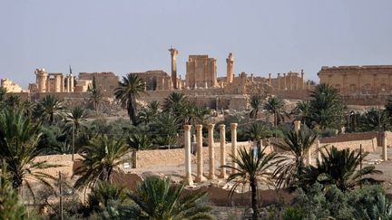 Une vue de Palmyre (Syrie), le 18 mai 2015. (STR / AFP)