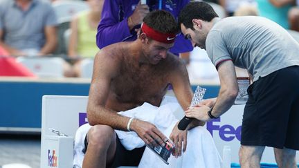 Juan Martin Del Potro connaît depuis plus d'un an des problèmes de blessures récurrentes au poignet gauche (CRAIG GOLDING / AFP)