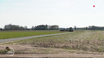 Coronavirus : l’agriculture manque de personnel