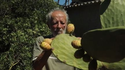 Italie : Maura Morandi, 81 ans, l’autre Robison