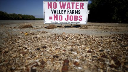 &nbsp; (La Californie est touchée depuis quatre ans par la sécheresse © REUTERS/Lucy Nicholson)