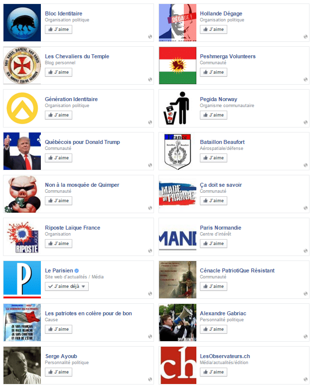 Capture d'écran de certaines des pages Facebook "likées" par Loïc Perdriel, président de Pegida France. (FACEBOOK)